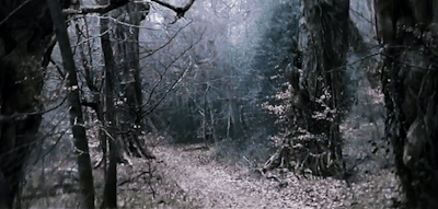 tumblr_osiuuui7ne1ublox3o1_400