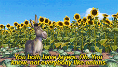  photo donkey_zps88cs8qxc.gif