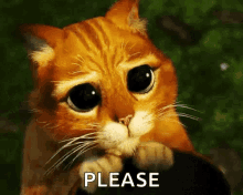 Afbeeldingsresultaat voor begging gif