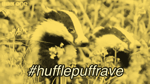 Hufflepuffs Rule!