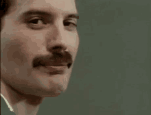 Image result for freddie mercury gif