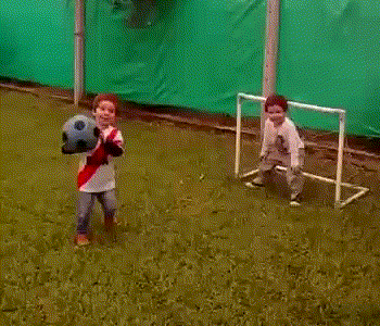 25798767.gif