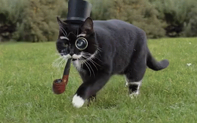 photo 4FA172D8-6B1B-43A2-B043-53159A801A88_zps8vffrsmx.gif