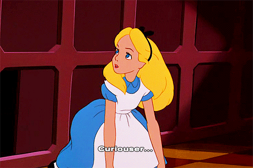 Image result for sheldon curiouser and curiouser gif