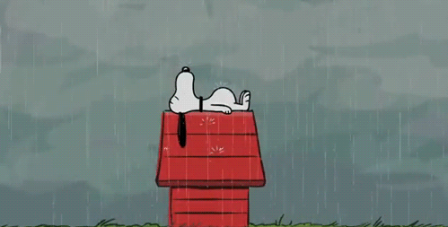 https://yadadarcyyada.com/2018/08/22/umbrella/
