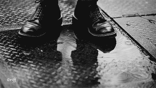  photo HardtofindPointedJavalina-small_zpsmhgyirfc.gif