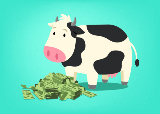 Image result for cash cow gif
