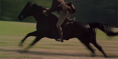 sasscastah: “ “I don’t know about anyone else,but I believe a galloping horse is one of the most beautiful sights that can be seen by a human eye.I love the way their ears prick forward,then pin back against the neck.I love the way they flare their...