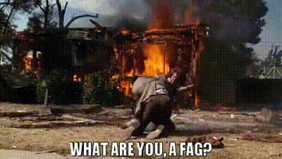 What are you, a fag?