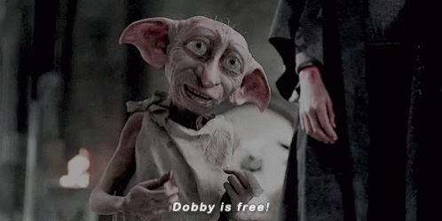 dobby is free