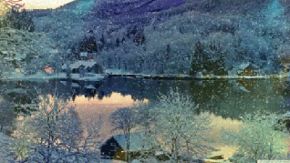 Image and video hosting by TinyPic