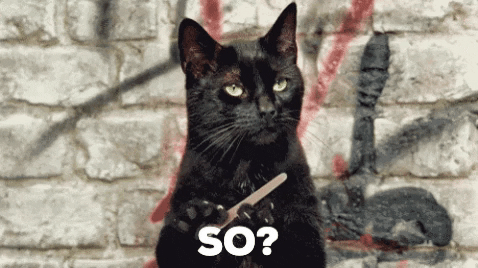 black cat filing nails GIF