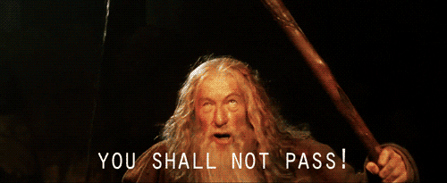 Image result for you shall not pass