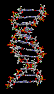 DNA_animation1