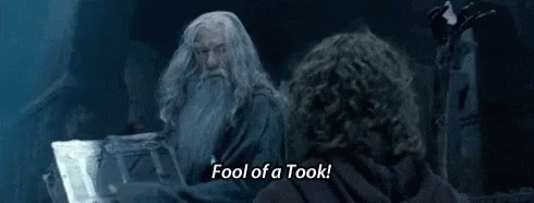 GIF of Gandalf saying Fool of a Took!