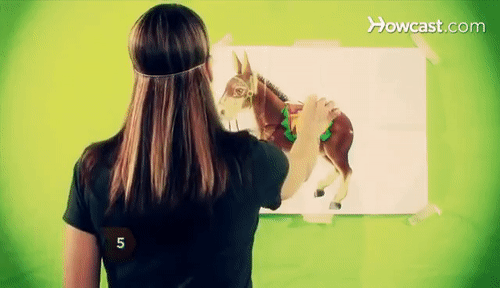 Image result for pin the tail gif