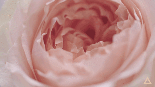 Keeping Your Heart Open | Rebecca Campbell