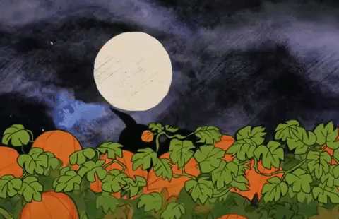 pumpkin patch gif - Google-Suche