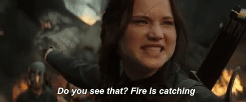 GIF of Katniss Everdeen saying Do you see that? Fire is catching.