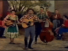 Image result for hillbilly band gif