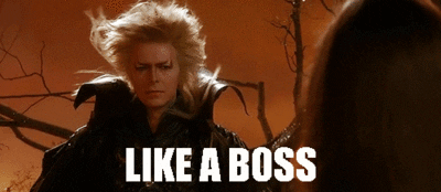 like a boss gif - Google zoeken