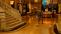 Night at the Museum Rexy