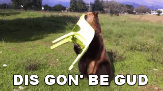 https://www.google.com/search?q=this should be good gif