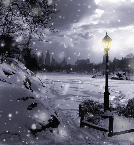 New York City Snow GIF by ELFvid - Find & Share on GIPHY