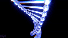 Spiral DNA GIF - Spiral DNA Guanine GIFs