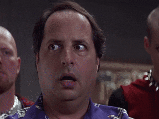 Top 30 Wtf GIFs | Find the best GIF on Gfycat