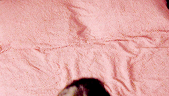 tumblr_inline_ogw6rq2Hi51rifr4k_500