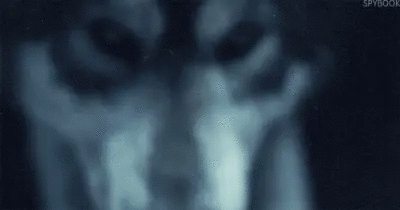 tumblr-npxa63f-Ymp1sy2z51o1-400