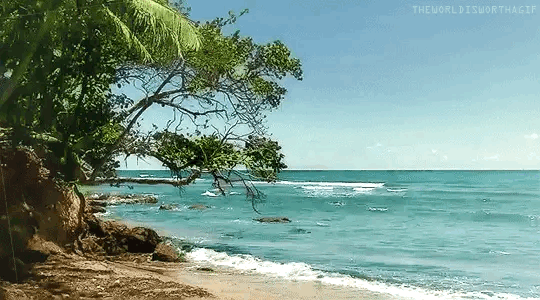 key west beach gif - Google Search