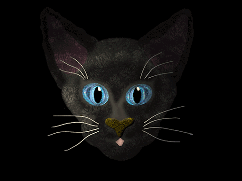blackoutraven: Heathers Animations Are you surprised? Well, so am I. I didn&#8217;t expect you to open the closet door. It was nice and quiet in here before you interrupted my sleep. Now, go away! Meow!