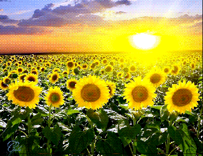 La Fiancée du Soleil