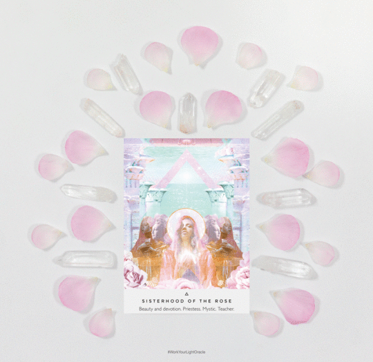 Sisterhood of the Rose Rebecca Campbell Work Your Light Oracle