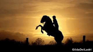 On horseback in the sunset