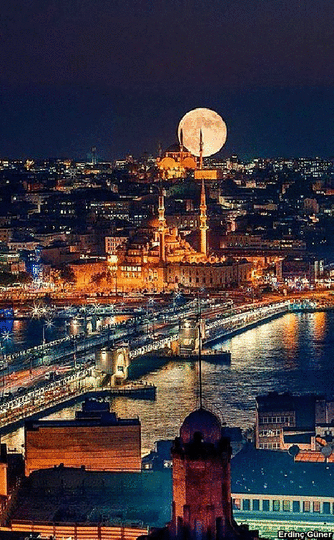 10 Minutes 38 Seconds In This Strange World By Elif Shafak