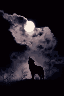 Wolf Howl GIFs | Tenor