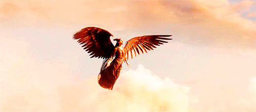 If I was a Dark Fey from Maleficent on We Heart It