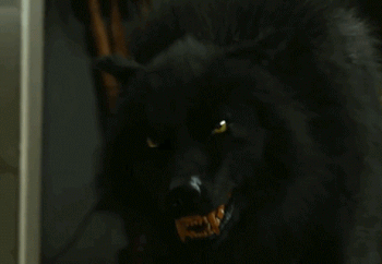 86c57f491dc8939e3207c1ac8479fd38