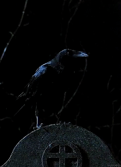 The Crow | Crow, Dark art, Black bird