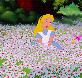 GIF - Alice in Wonderland | Alice in wonderland disney, Alice in wonderland flowers, Disney gif