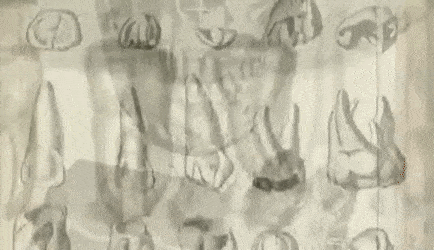 Thrifty-Ripe-Fugu-size-restricted