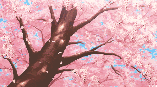 Gif tree uploaded by Mielletanne✿ on We Heart It
