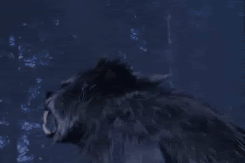 Werewolf-gif.gif