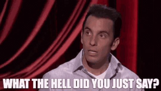 What The Hell Did You Just Say GIFs | Tenor