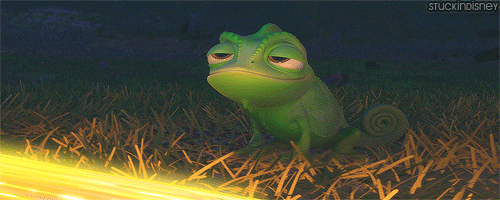 Paschal the chameleon content