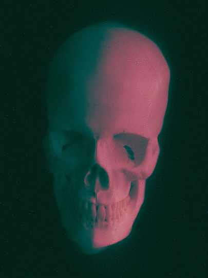 skull1_final.gif