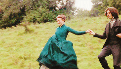 Admirable-Gripping-Giantschnauzer-size-restricted